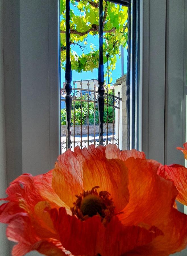 קופר Casa Isabella B&B מראה חיצוני תמונה